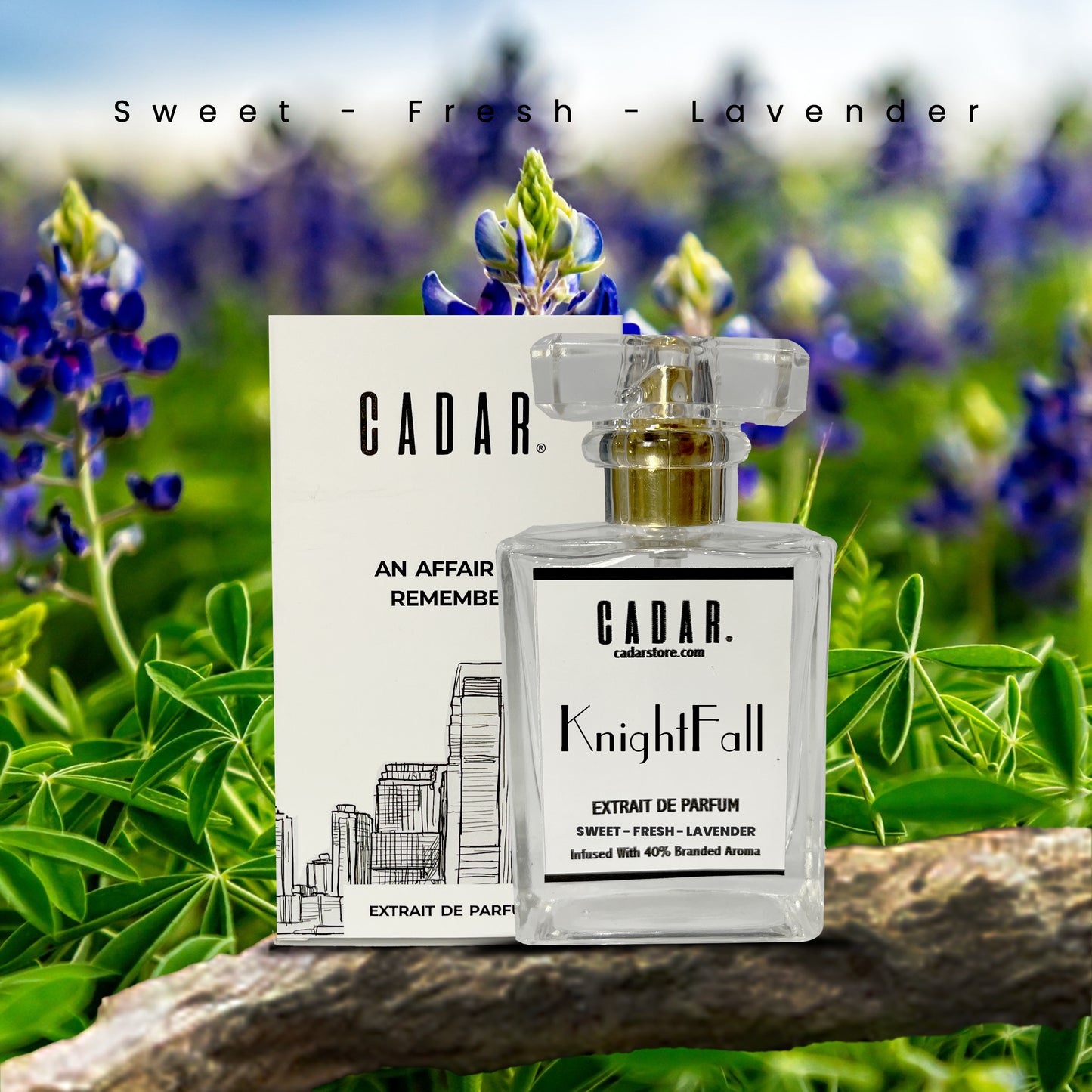 Knighfall - Extrait De Parfum (Inspired by Joop Nightflight)