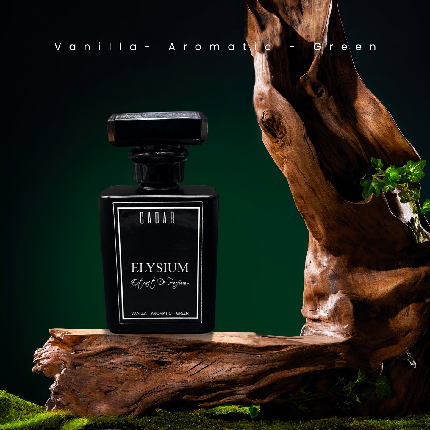 Elysium - EDP ( Inspired By Versace Eros)